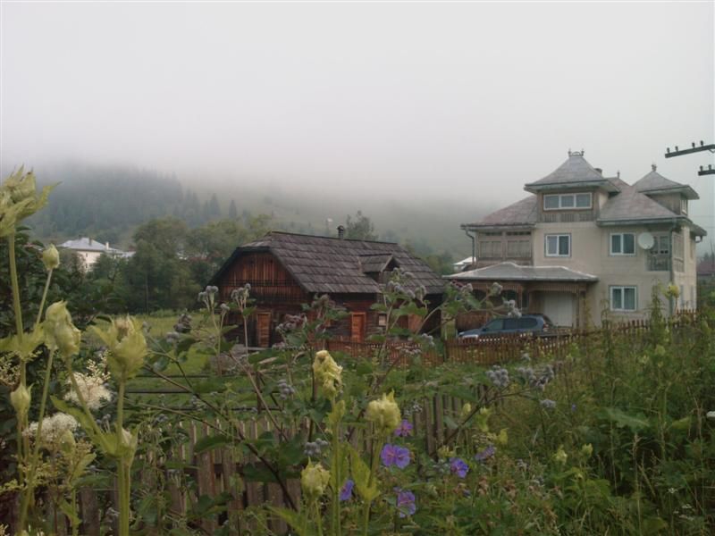 Cazare Botus - Casa Silvestru