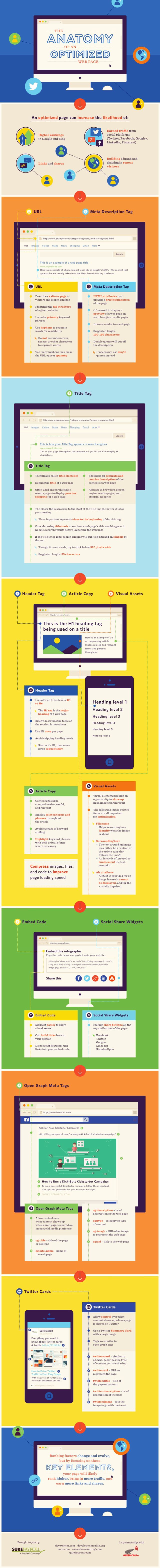 optimized-webpage-infographic